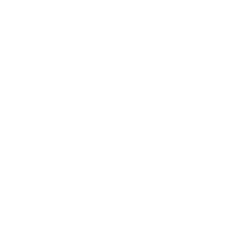 Partner 26